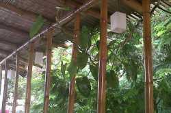 4 months, 3 places, and everything else