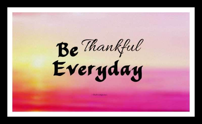 40 Best Appreciation Quotes And Sayings Collection | QuotesBae