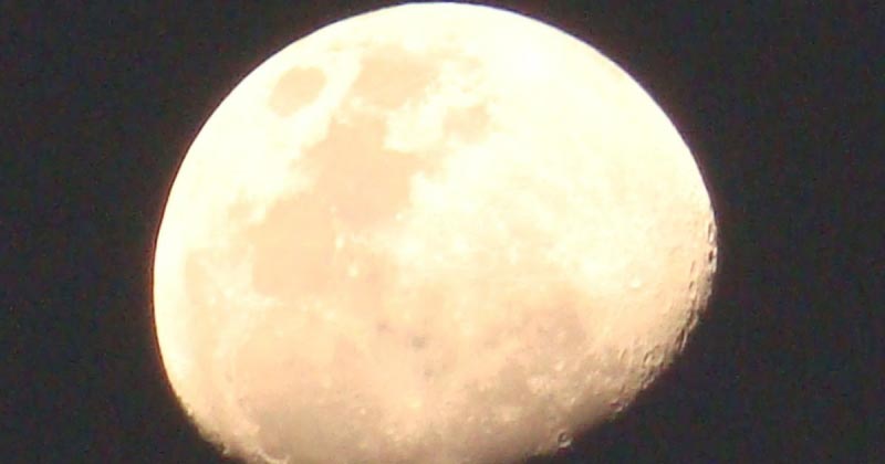 40 Years Of A Magnificient Journey