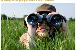 404 error- page not found.