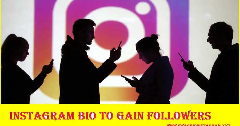 425+Instagram Bio To Gain Followers : Cute, Cool, Creative