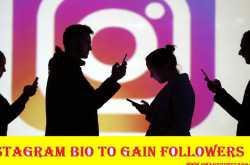425 Instagram Bio to Gain Followers : Cute, Cool, Creative