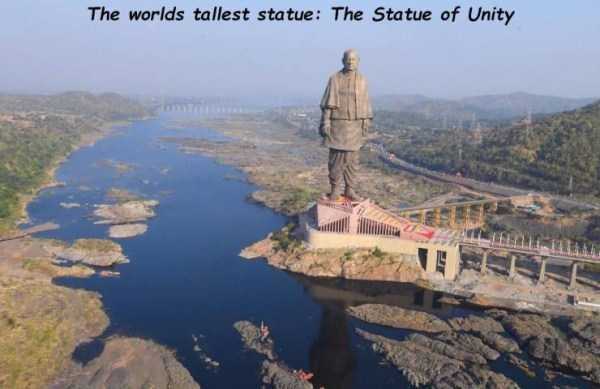 43 Random Pictures With Captions