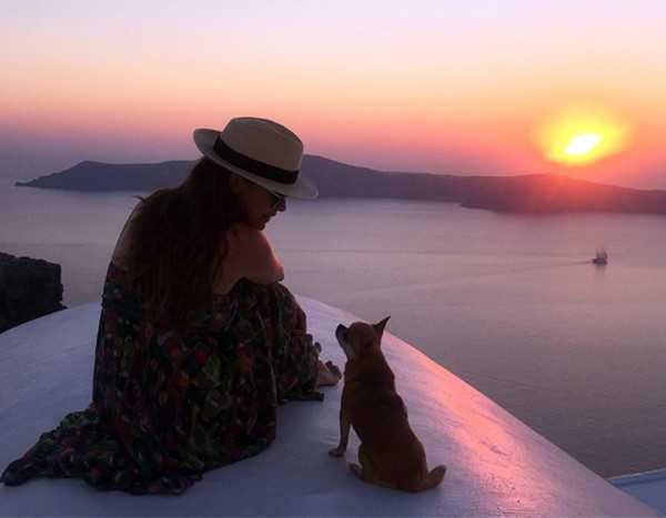 5 Amazing Adventure Stories With A Dog Based On True Events