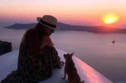 5 Amazing Adventure Stories With A Dog Based On True Events