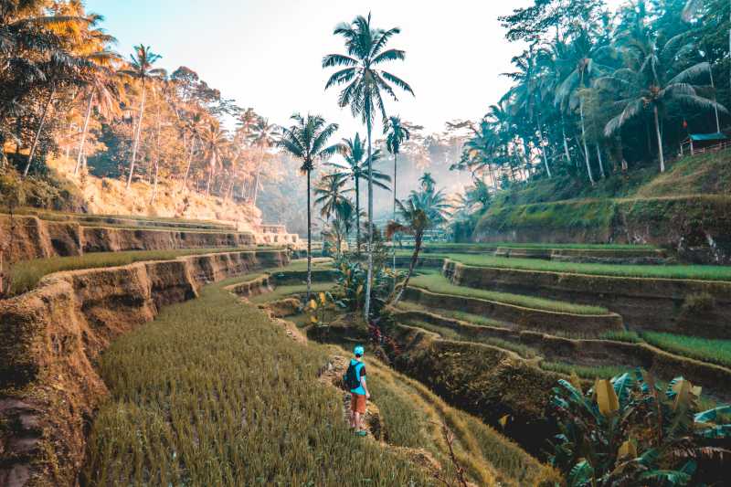 5 Beauties In Bali That Will Make You Go There Small Budget Big Trips