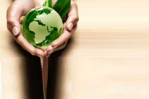 5 Eco Friendly Products That Really Make A Difference (Green Living) - A Web Blog About Product Review, Blogging Tips, IT Technology Internet Tech Reviews