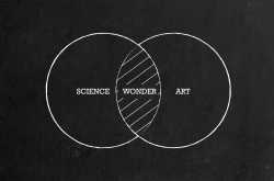 5 Elements and Mind |