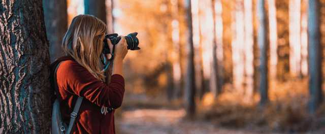 5 Free Stock Photos Collection Site List