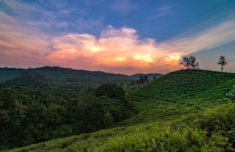 5 Getaways Near Bangalore You Must Visit In Monsoon - HolidayMonk | Homestays | Resorts | Domestic | Holidays | International