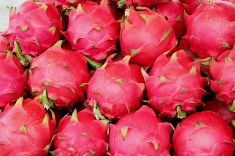 5 Health Benefits Of Dragon Fruit Which Is Incredible! - The Ayurveda