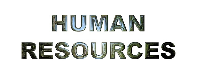 5 Key Points That Every Organization Expect From Human Resource Department.