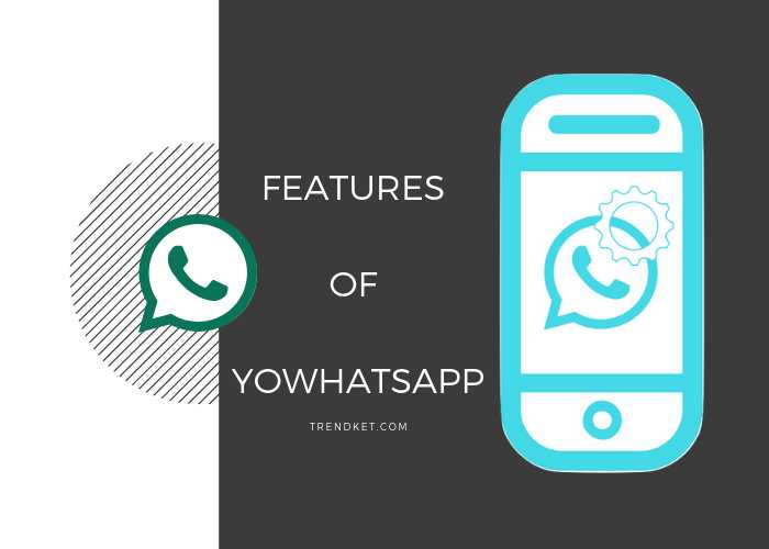 5 Major Features Of YOWhatsApp Application - Download YoWhatsApp