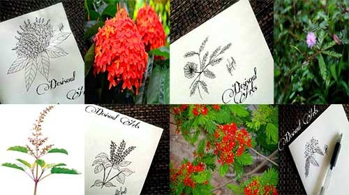 5 Minute March Challenge Ends!