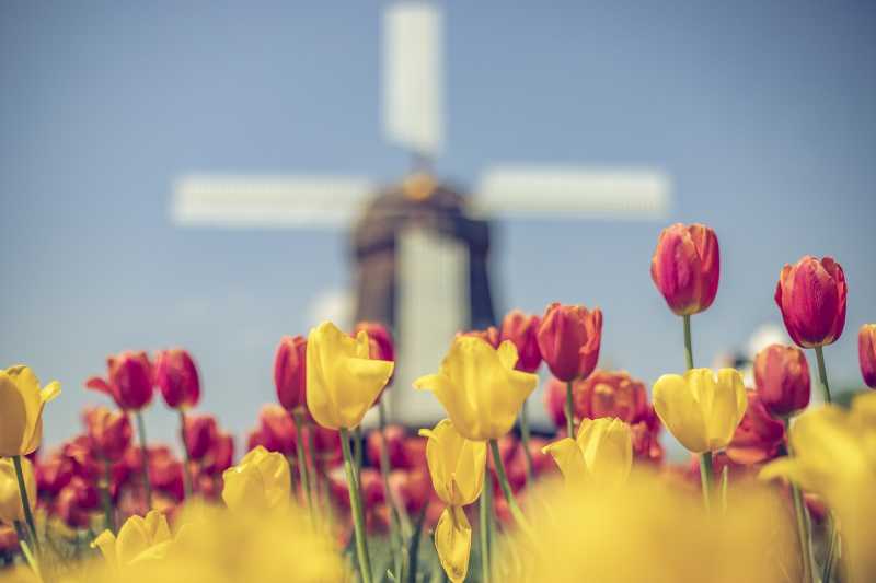 5 Sensational Destinations To Visit For Lovers Of Spring