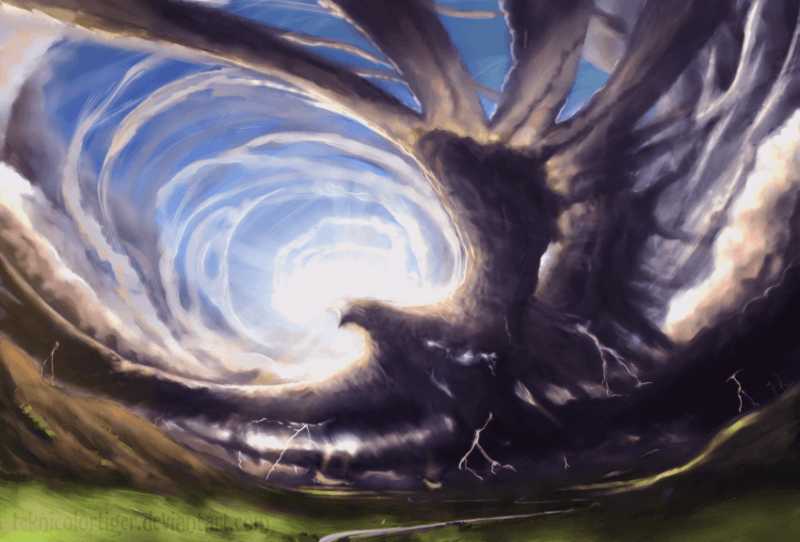 5 Signs You May Possess Thunderbird Medicine