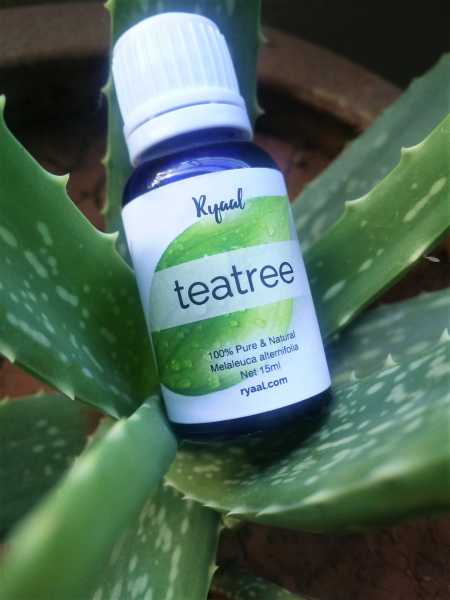 5 Simple Ways To Use Tea Tree Oil In Everyday Life