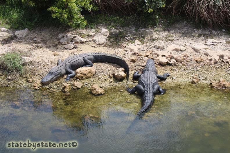 5 U.S. National Park Sites You Need To Add To Your Bucket List - Indiapalette.com