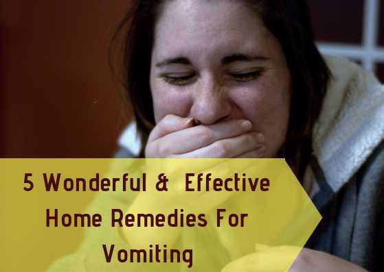 5 Wonderful And Effective Home Remedies For Vomiting - Lifestylica