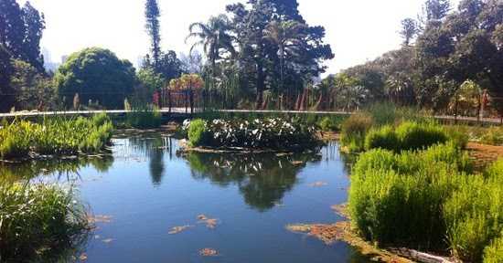 5 Biggest Douchebags Of The Royal Botanic Gardens