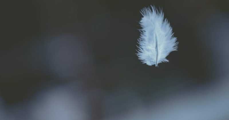 5 Easy Ways To Escape Negativity