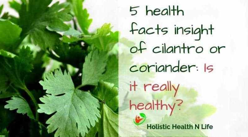 5 Health Facts Insight Of Cilantro Or Coriander