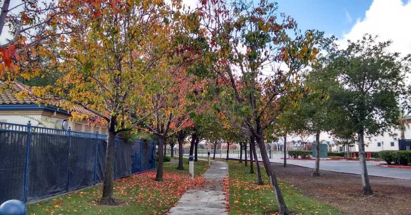 5 Innovations I Wish To See In My Lifetime 