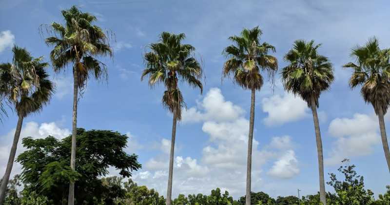 5 Quick-fixes For Bad Mood 