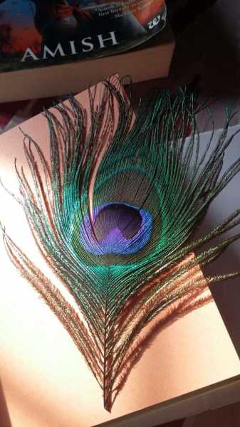 5 Quotes That I Learned In My Life To Stay Happy