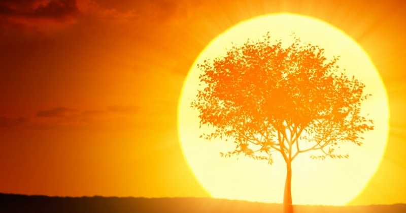 5 Things That Add Value To My Morning