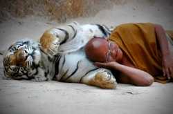 50 Important Life Questions To Ask Oneself Before You Die