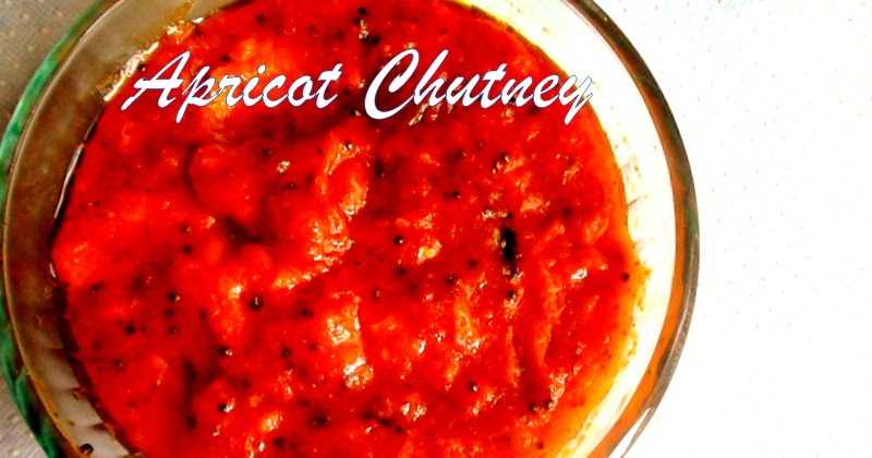 501: Indian Style Spicy Apricot Chutney