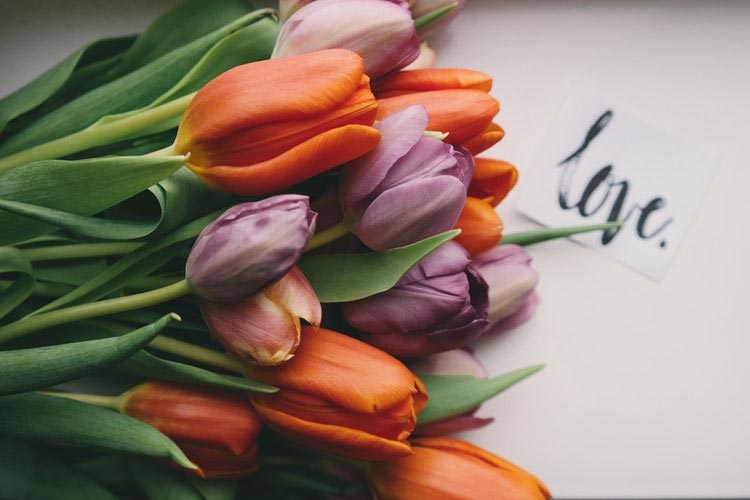53 Love Quotes To Heal & Inspire You On Valentine’s