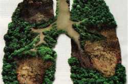 55 Fiction: I have a voice, Stop Now!