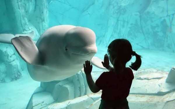 55 Nothing But Awesome Pics