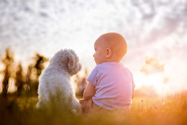 6 Advantages For Kids Who Grow Up With Dogs
