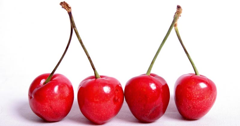 6  COMMON  FOODS  THAT  ARE  POISONOUS