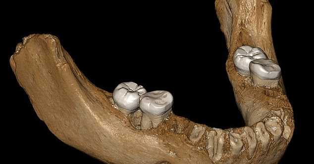 6 Reasons Why Australia Is The Best Place To Study For International Students