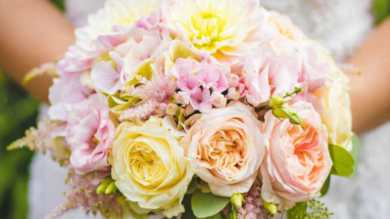 6 Steps To Creating An Intriguing Wedding Blog ALL Brides Will Want To Read