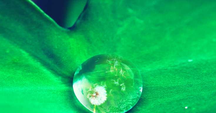 6 Substitutes For Cereals To Consume During Fasts.