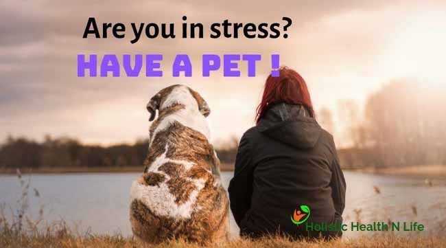 6 Ways Having A Pet Can Reduce Your Stress According To Science