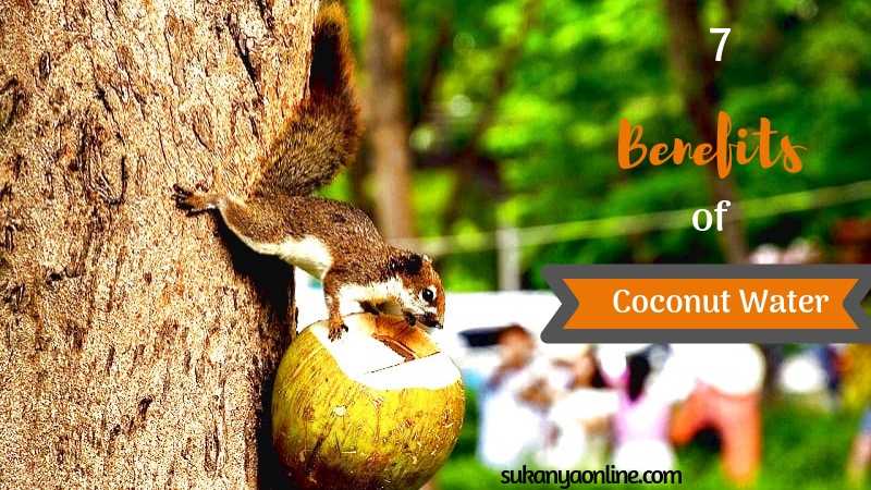 7 Benefits Of Coconut Water You Do Not Know About