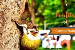 7 Benefits of coconut water you do not know about