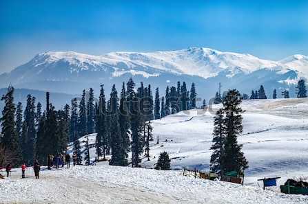 7-Day Itinerary To Explore Kashmir With Family