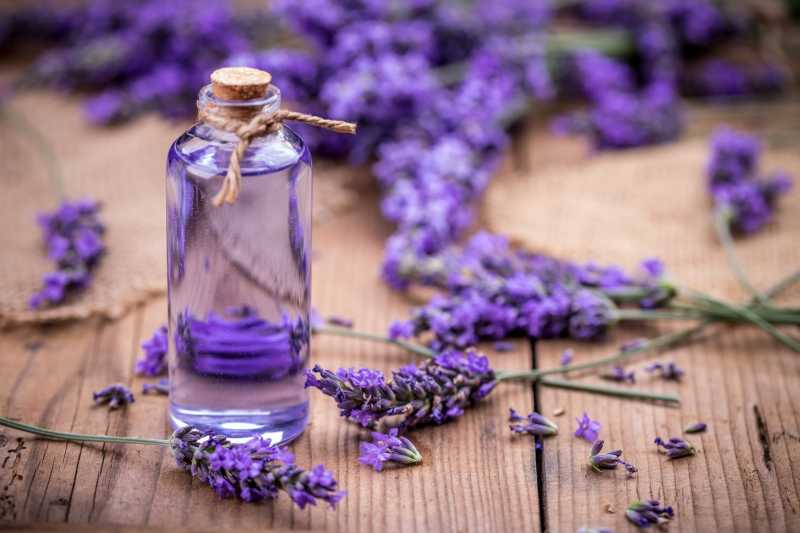 7 Health & Beauty Benefits Of Lavender Essential Oil