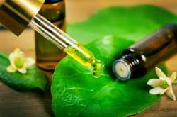 7 Home Remedies For A Pest-Free Household