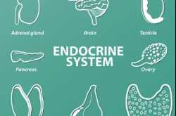 7 Home Remedies for Hormonal Imbalance; Foods, Lifestyle & Diet