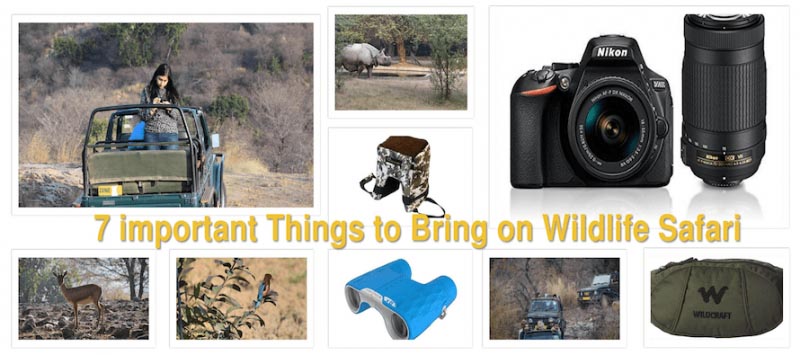 7 Most Useful Things To Bring On Safari | Important Things To Carry For Wildlife Safari - Triptude