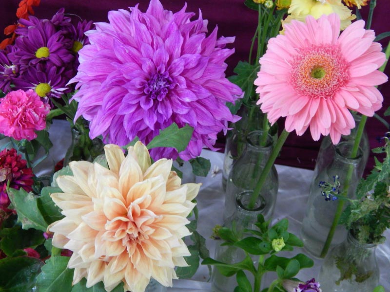 7 Reasons Why Flowers Make For The Perfect Gift For Every Occasion - Munni Of All Trades