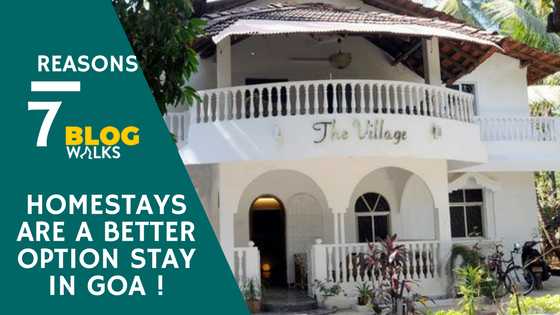 7 Why’s - Homestays Are A Better Option To Stay In Goa | Zeal To Scrawl